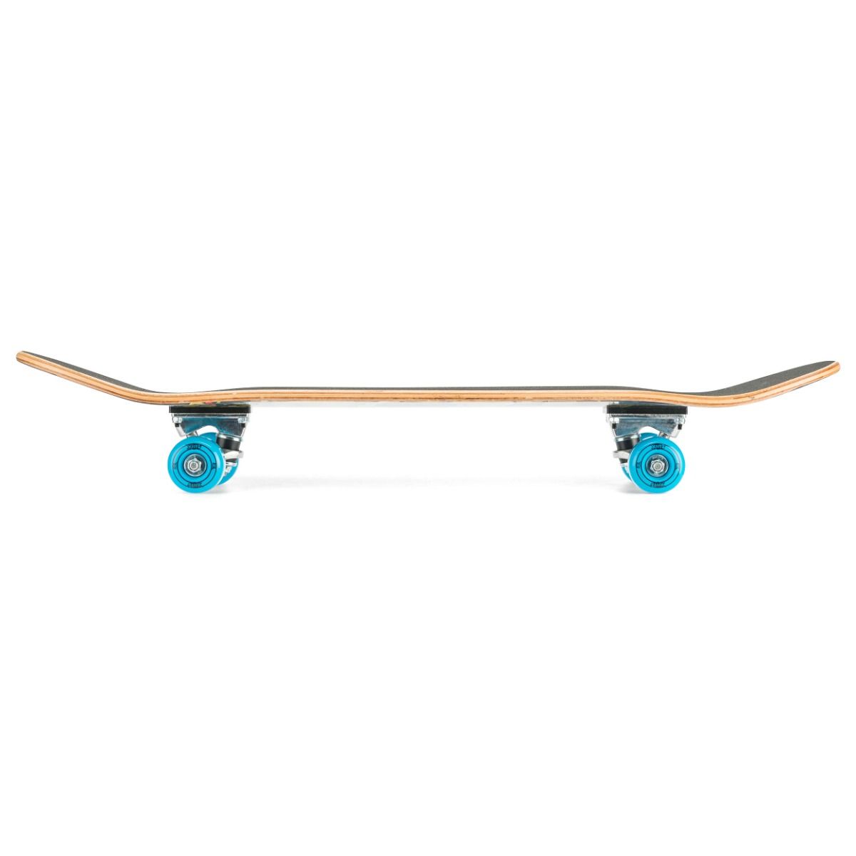 beginner skateboard 